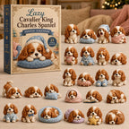Lazy Cavalier Spaniel advent calendar