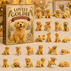 Lovely Goldie advent calendar