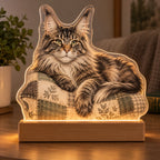 Maine Coon Quilted Cushion Acrylic Night Light with printed dimensional artwork