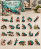 Mantis Shrimp advent calendar with 24 custom-shaped flat acrylic charms and printed dimensional artwork
