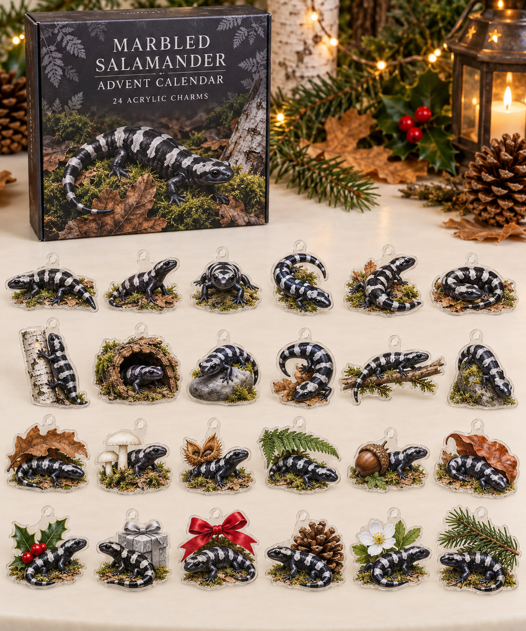 Marbled Salamander advent calendar with 24 custom-shaped flat acrylic charms and printed dimensional artwork