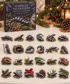 Marbled Salamander advent calendar with 24 custom-shaped flat acrylic charms and printed dimensional artwork