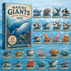 Marine Giants advent calendar