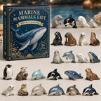 Marine Mammals Life advent calendar