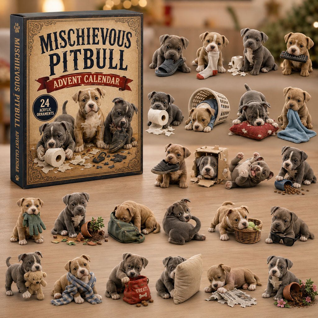 Mischievous Pitbull advent calendar
