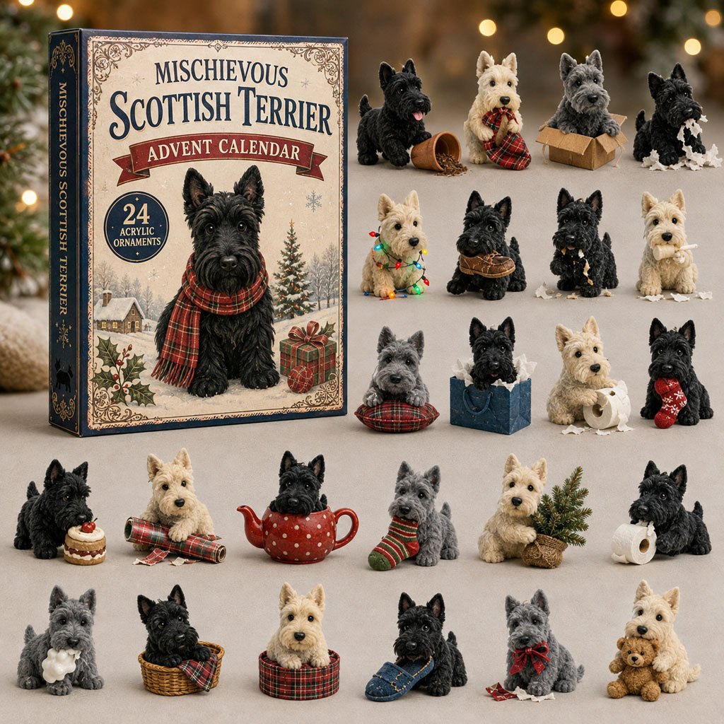 Mischievous Scottish Terrier advent calendar