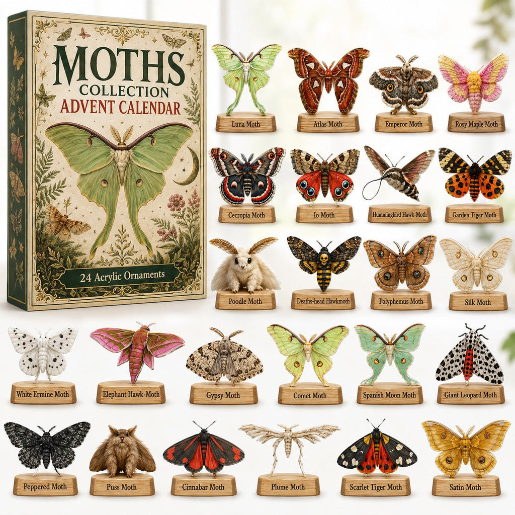 Moths Collection advent calendar