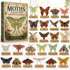 Moths Collection advent calendar