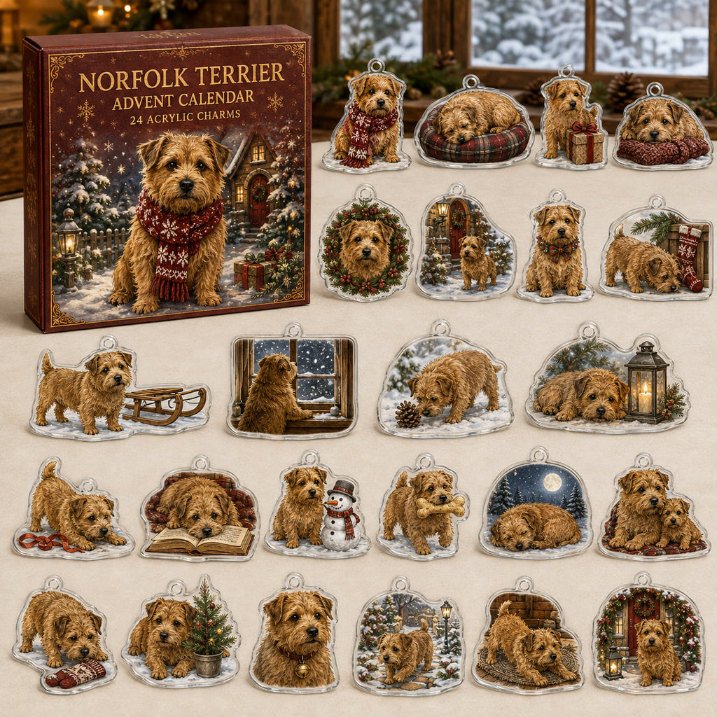 Norfolk Terrier advent calendar box and 24 illustrated acrylic charms displayed on an ivory tabletop in a winter setting
