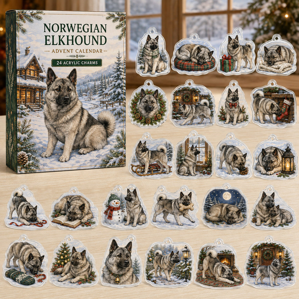 Norwegian Elkhound advent calendar box and 24 illustrated acrylic charms displayed on an ivory tabletop in a winter setting