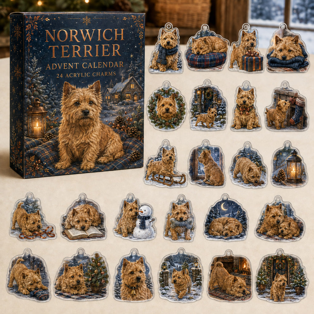 Norwich Terrier advent calendar box and 24 illustrated acrylic charms displayed on an ivory tabletop in a winter setting