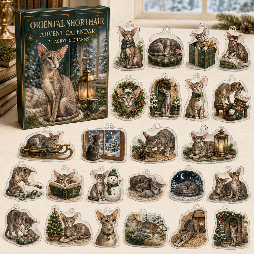 Oriental Shorthair advent calendar box and 24 illustrated acrylic charms displayed on an ivory tabletop in a winter setting