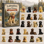 Outdoor Labrador advent calendar