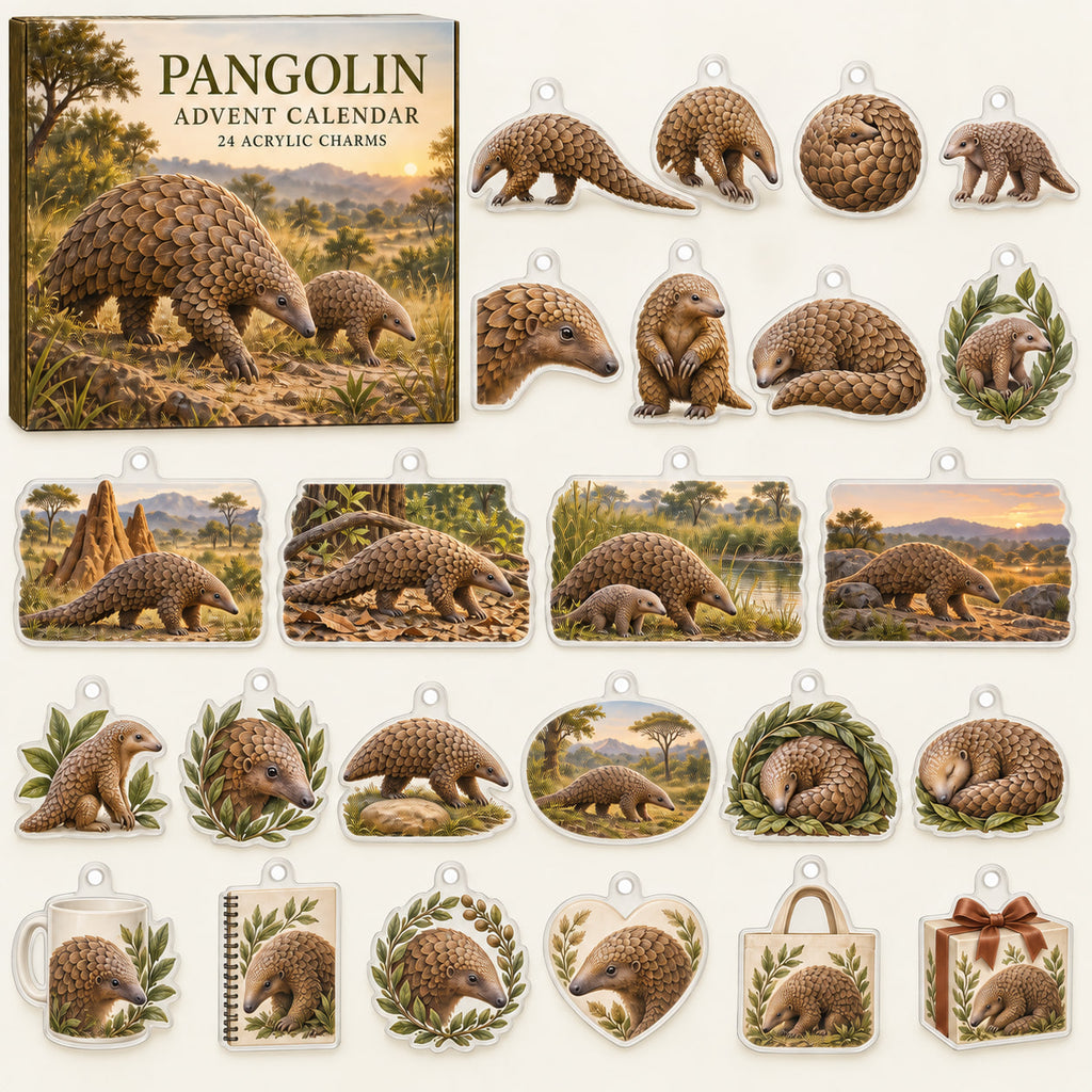 Pangolin advent calendar box with 24 themed flat printed acrylic charms