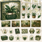 Peace Lily advent calendar box and24 botanical-themed printed acrylic charms