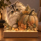 Persian Cat Pumpkin Hideaway Acrylic Night Light with printed dimensional artwork
