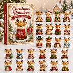 Raindeer advent calendar