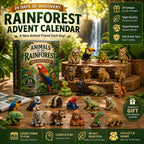 Rainforest Animals Life advent calendar