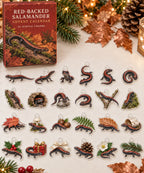 Red-Backed Salamander advent calendar with 24 custom-shaped flat acrylic charms and printed dimensional artwork