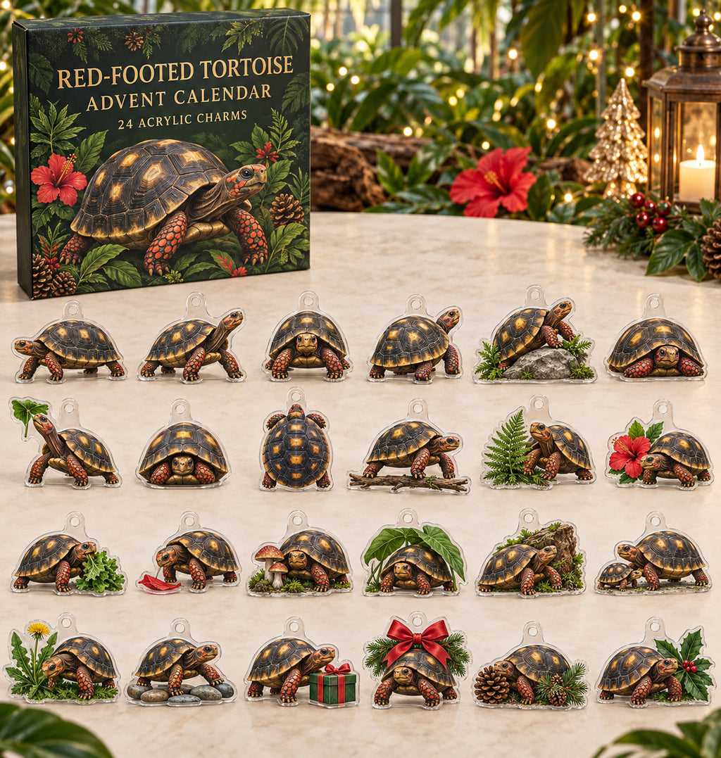 Red-Footed Tortoise advent calendar with 24 custom-shaped flat acrylic charms and printed dimensional artwork