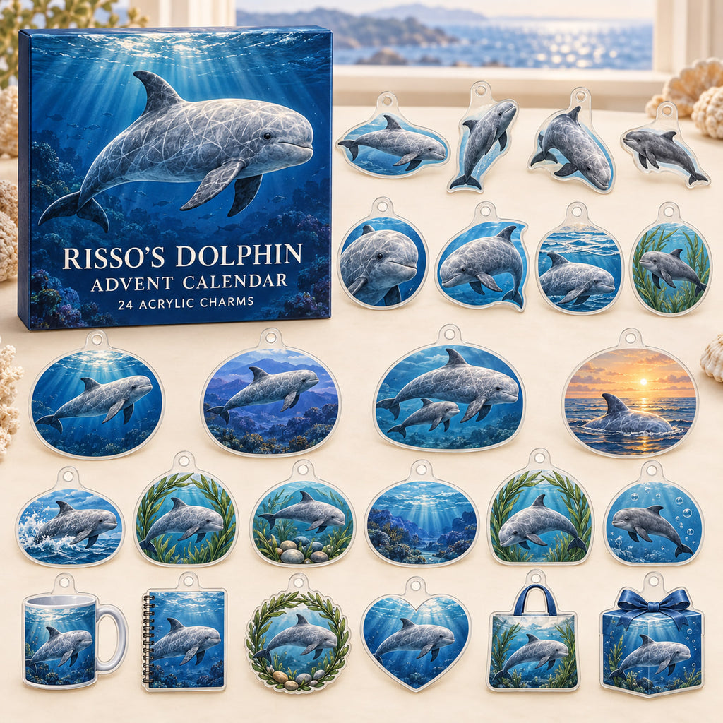 Risso Dolphin advent calendar box and24 themed flat printed acrylic charms with layered ocean artwork