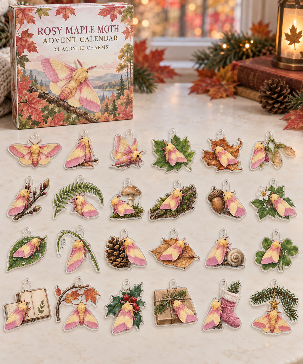 Rosy Maple Moth advent calendar with 24 custom-shaped flat acrylic charms and printed dimensional artwork