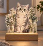 Scottish Straight Cat Apothecary Shelf Acrylic Night Light with printed dimensional artwork