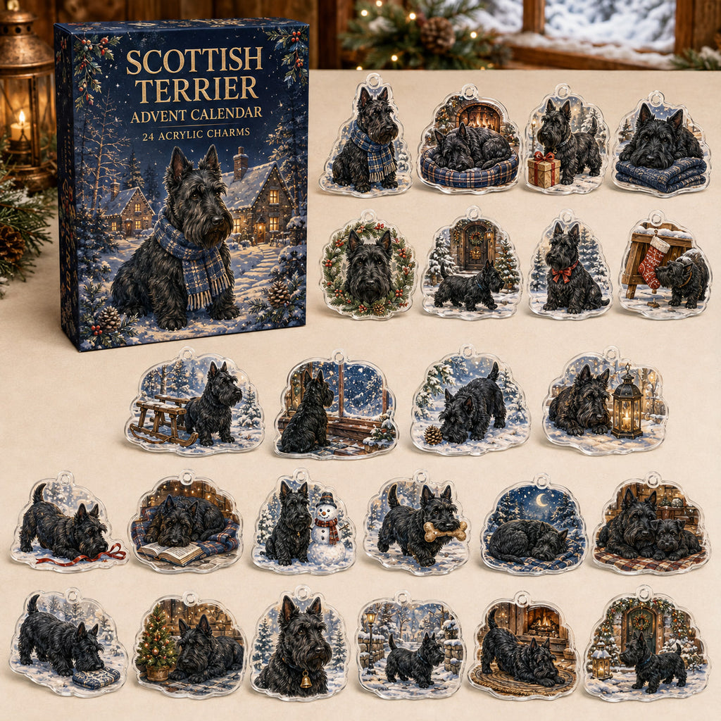 Scottish Terrier advent calendar box and 24 illustrated acrylic charms displayed on an ivory tabletop in a winter setting