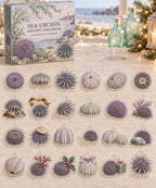 Sea Urchin advent calendar with 24 custom-shaped flat acrylic charms and printed dimensional artwork