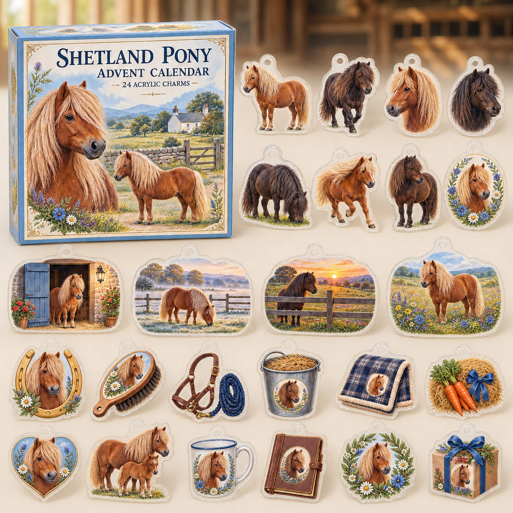 Shetland Pony advent calendar box with24 printed acrylic equestrian charms