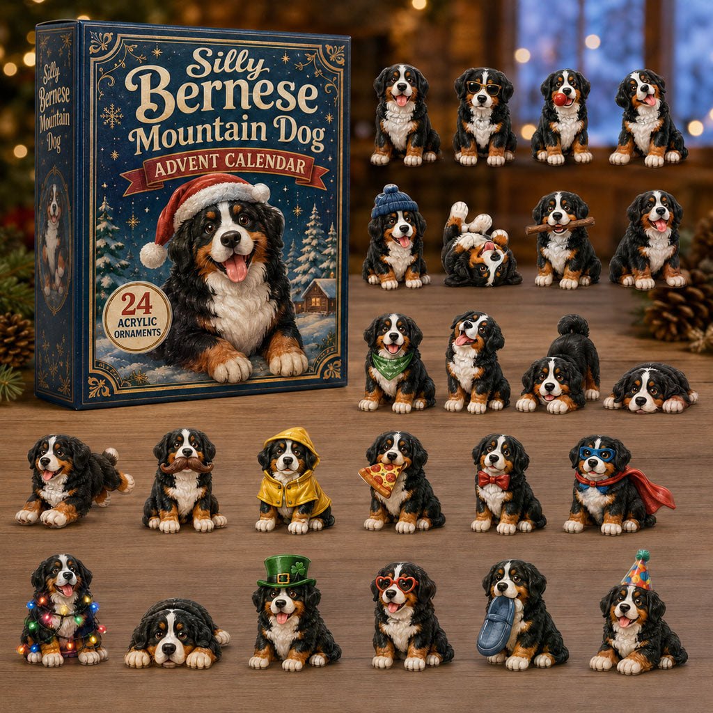 Silly Bernese Mountain Dog advent calendar