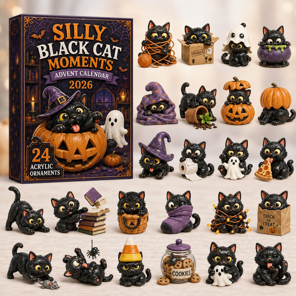 Silly Black Cat Moments advent calendar