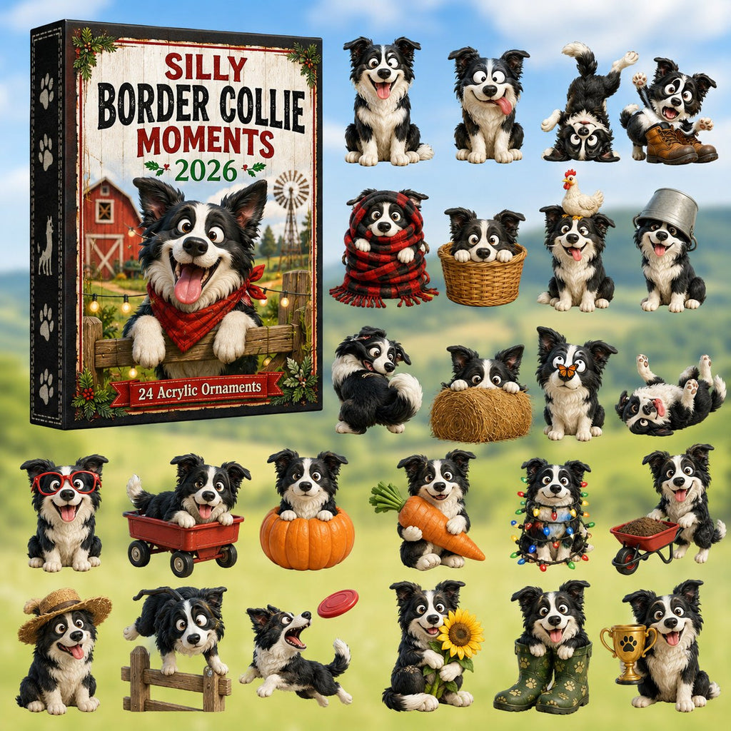 Silly Border Collie Moments advent calendar
