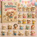 Silly Maltipoo advent calendar