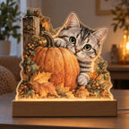Silver Tabby Pumpkin Hideaway Acrylic Night Light with printed dimensional artwork