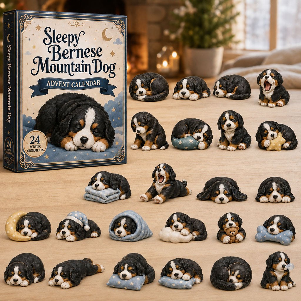 Sleepy Bernese Mountain Dog advent calendar