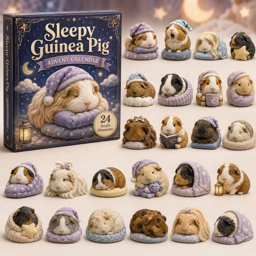Sleepy Guinea Pig advent calendar
