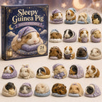 Sleepy Guinea Pig advent calendar