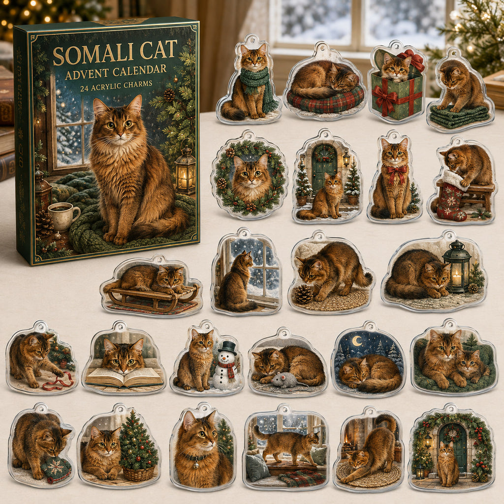 Somali Cat advent calendar box and 24 illustrated acrylic charms displayed on an ivory tabletop in a winter setting