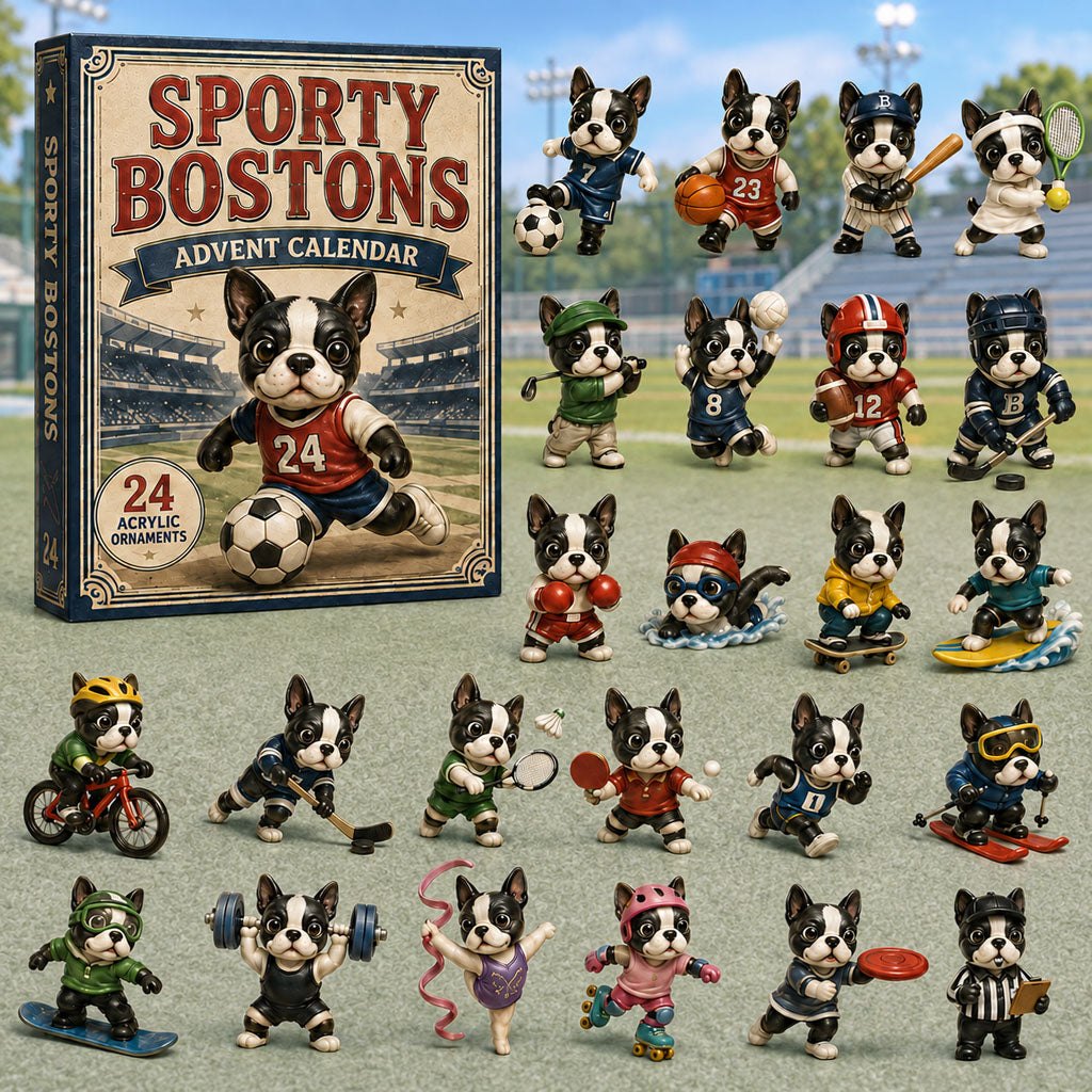 Sporty Bostons advent calendar