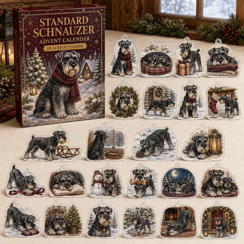 Standard Schnauzer advent calendar box and 24 illustrated acrylic charms displayed on an ivory tabletop in a winter setting