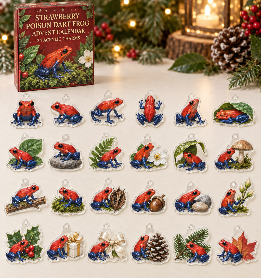 Strawberry Poison Dart Frog advent calendar with 24 custom-shaped flat acrylic charms and printed dimensional artwork