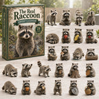 The Real Raccoon advent calendar