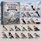 Tundra Birds advent calendar