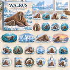 Walrus advent calendar box with 24 themed flat printed acrylic charms