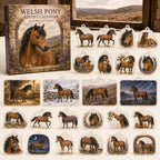 Welsh Pony calendar box and24 printed acrylic equestrian charms