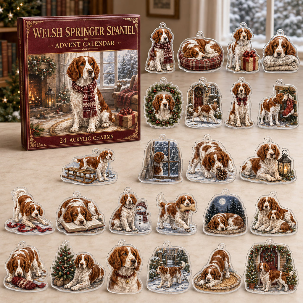 Welsh Springer Spaniel advent calendar box and 24 illustrated acrylic charms displayed on an ivory tabletop in a winter setting