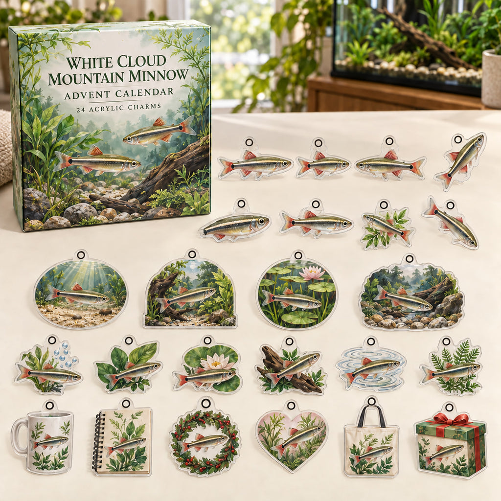 White Cloud Mountain Minnow advent calendar box with 24 themed flat printed acrylic charms