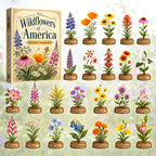 Wildflowers of America advent calendar