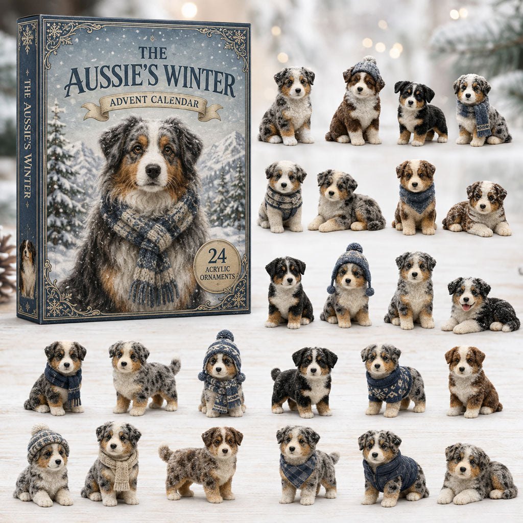 Winter Australian Shepherd advent calendar